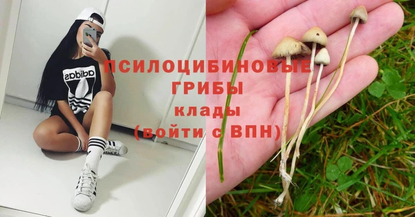 a pvp Протвино