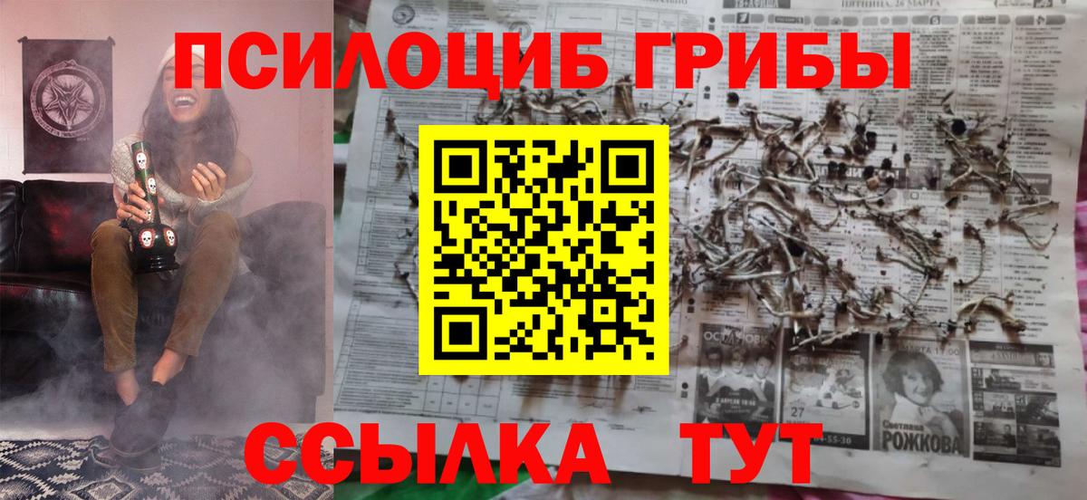 Галлюциногенные грибы Psilocybine cubensis  Вход с VPN  Псилоцибиновые грибы MAGIC MUSHROOMS  Мурино 